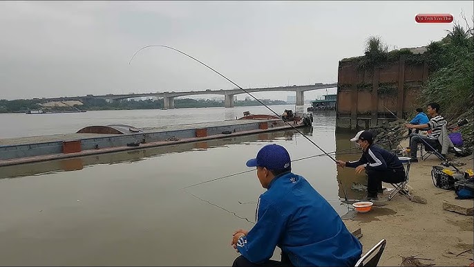 Câu Cá Sông Hồng