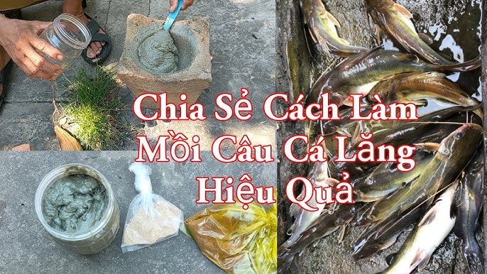 Mồi Câu Cá Lăng Sông