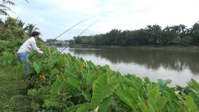 Câu Cá Sông Sài Gòn