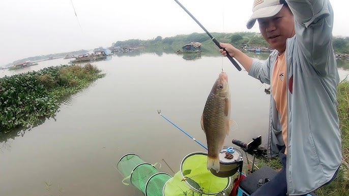 Kinh Nghiệm Câu Cá Sông Hồng