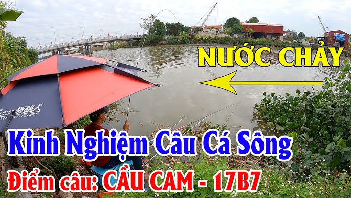 Kinh Nghiệm Câu Cá Sông Hồng