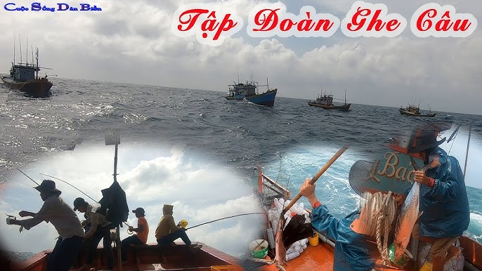 Câu Cá Biển Đông