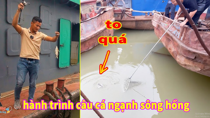 Câu Cá Ngạnh Sông Hồng