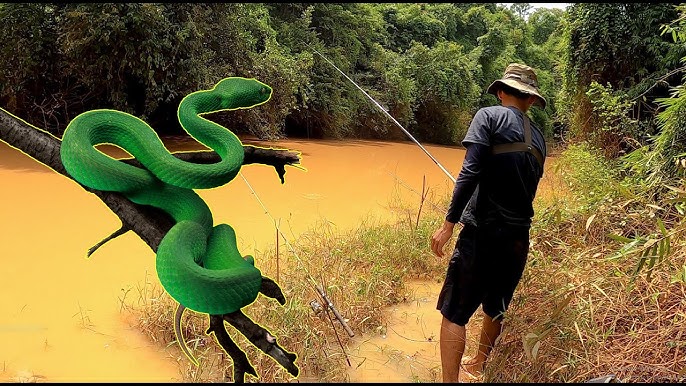 Câu Cá Chạch Sông