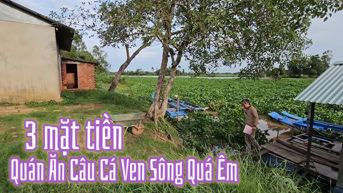 Câu Cá Ven Sông