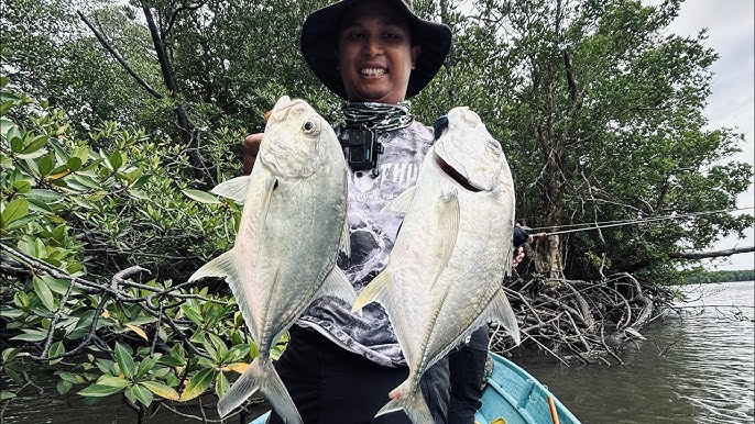 Cách Câu Cá Vược Biển