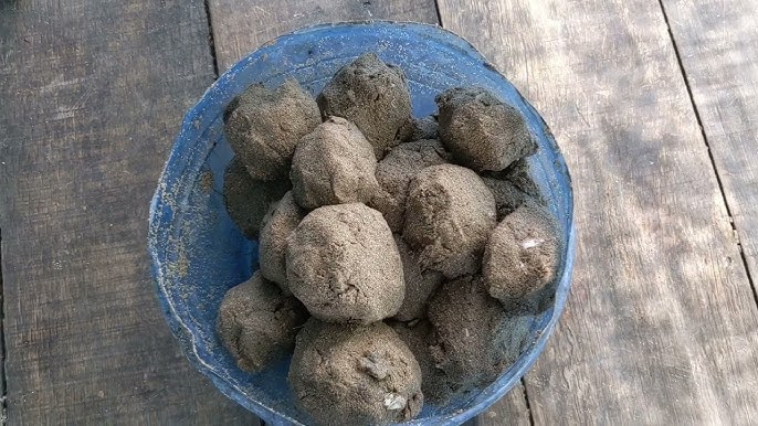 Cách Làm Mồi Xả Câu Cá Biển