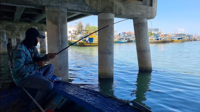 Rong Biển Câu Cá Dìa