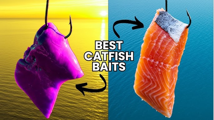 Mồi Câu Cá Trê Ao