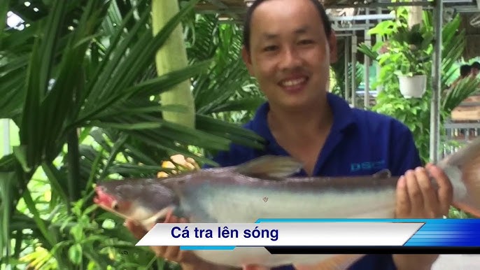 Hồ Câu Cá Giải Trí Hoà Khánh