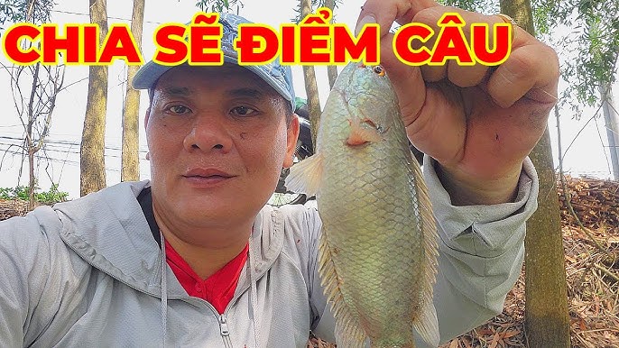 Hồ Câu Cá Giải Trí Hoà Khánh