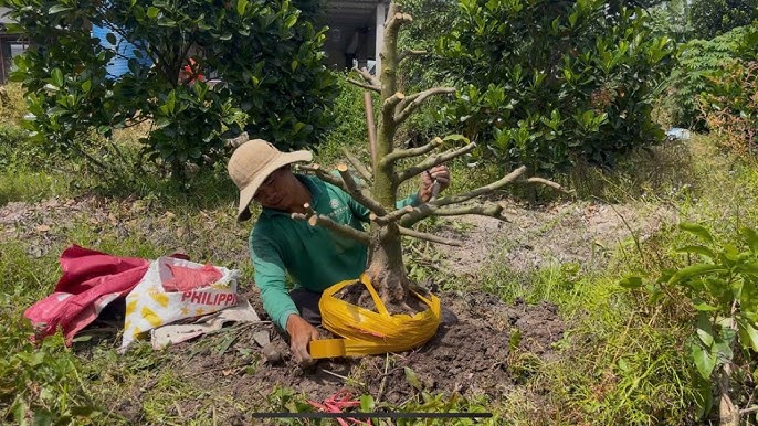 Câu Cá Hồ Hòa Trung Đà Nẵng