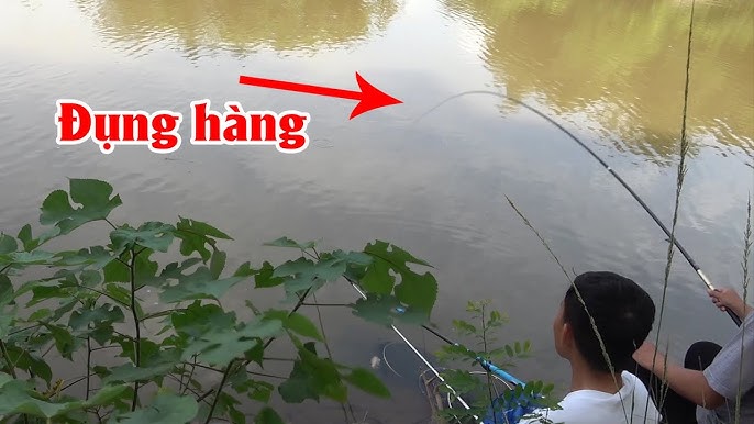 Câu Cá Hồ Nước Sâu