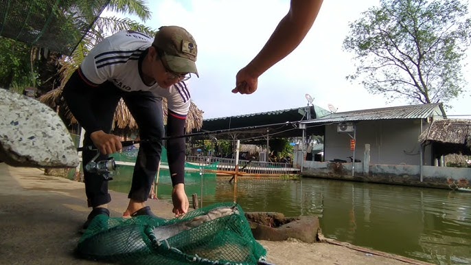 Hồ Câu Cá Thủy Mộc