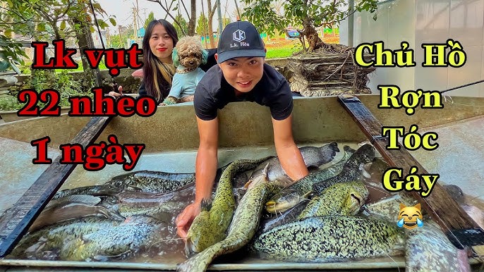 Mồi Câu Cá Nheo Hồ Dịch Vụ