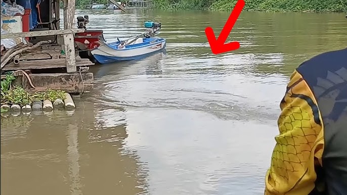 Hồ Câu Cá Huyện Đội Hóc Môn