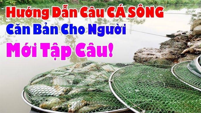 Chọn Vị Trí Câu Cá Sông