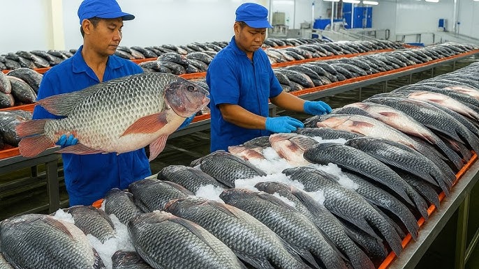 Câu Cá Sông Quận 9