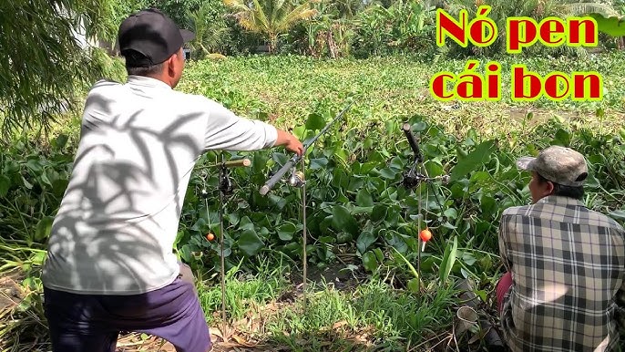 Câu Cá Tra Trên Sông