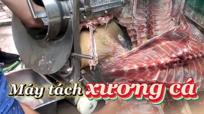 Máy Tách Xương Cá