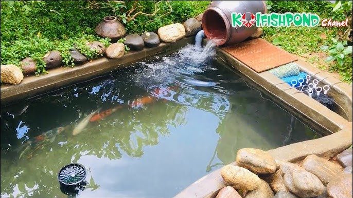 Bể Cá Koi