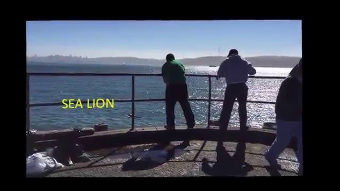 Cách Câu Cá Nục