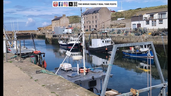 Cách Câu Cá Nục