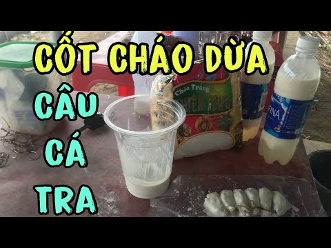 Cách Ủ Cơm Dừa Câu Cá Tra