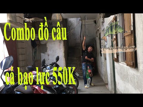 Combo Đồ Câu Cá
