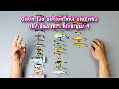 Câu Cá Chẽm Ban Đêm