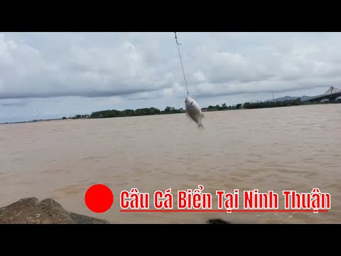 Câu Cá Biển Ninh Thuận