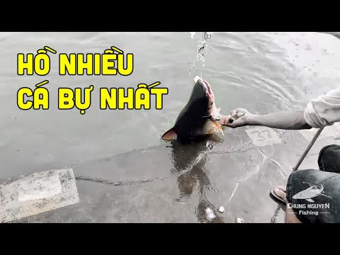 Hồ Câu Cá Hoàn Tân