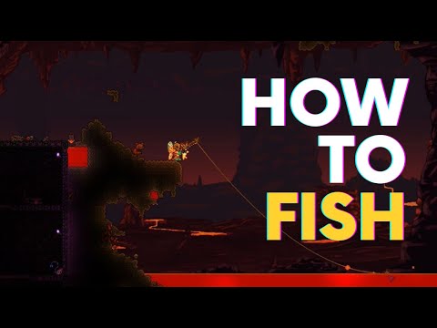 Cách Câu Cá Trong Terraria