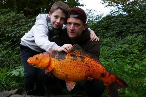 Câu Cá Mè Ban Đêm