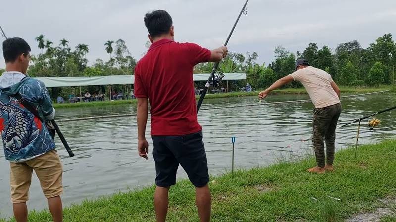 Hồ Câu Cá Cần Thơ