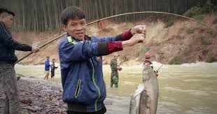 Câu Cá Hồ Kẻ Gỗ