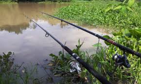 Câu Cá Ven Sông
