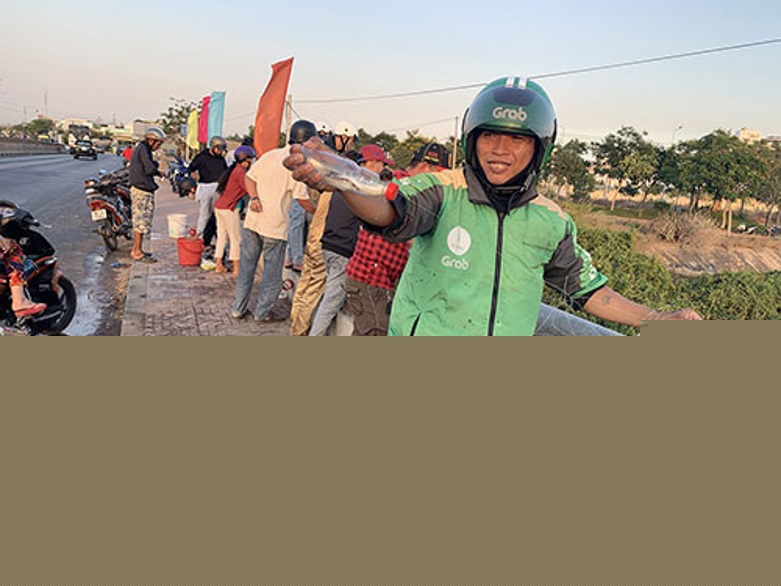 Cách Câu Cá Đối