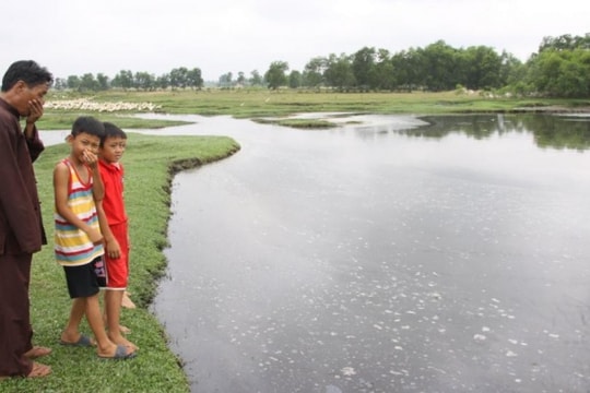 Nhà Máy Chế Biến Bột Cá