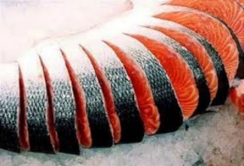 Cá Hồi Mộc Châu