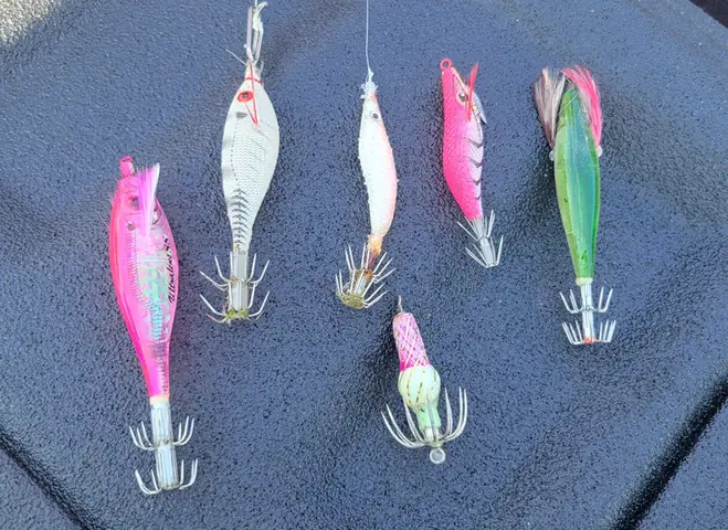 Mồi Câu Cá Nâu Biển