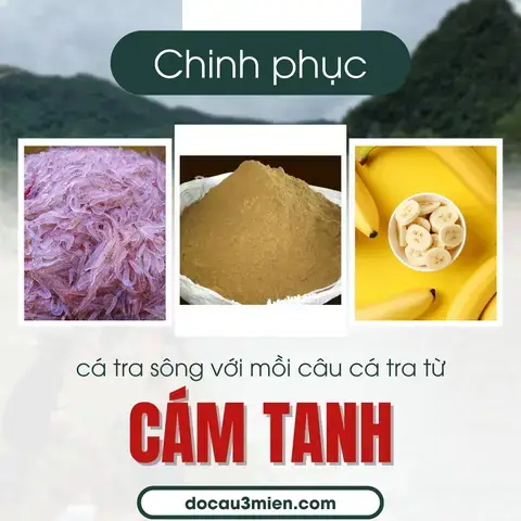 Mồi Câu Cá Tra Ao