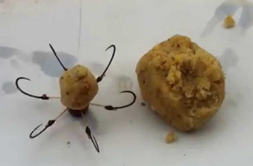 Cách Làm Mồi Câu Các Loại Cá