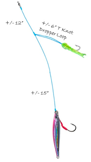 Câu Cá Hanh Biển