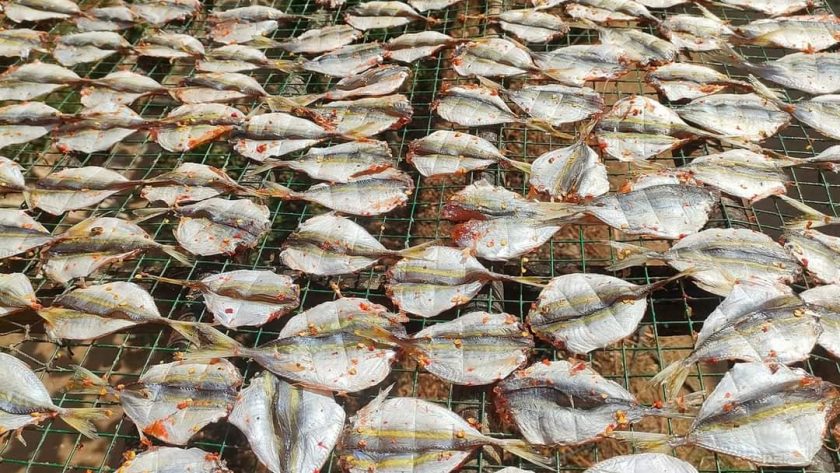 Khô Cá Chỉ Vàng