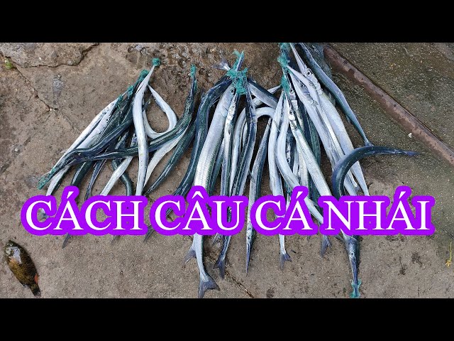 Cách Câu Cá Nhái
