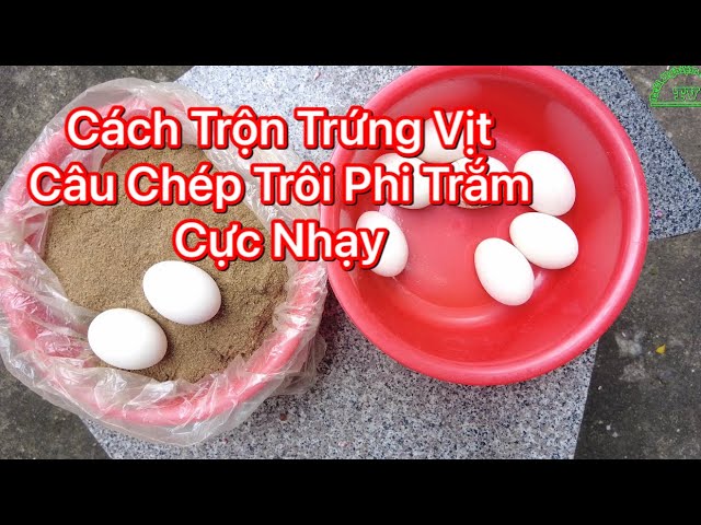 Cách Câu Cá Bằng Cám