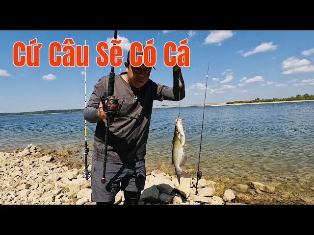 Cách Ủ Ruột Gà Câu Cá