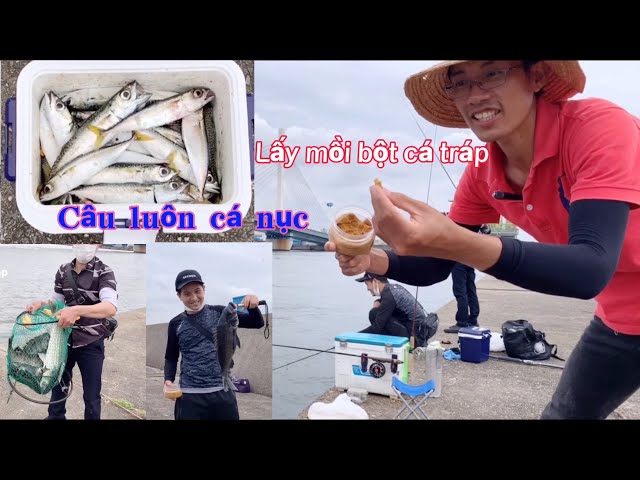 Mồi Câu Cá Tráp Biển