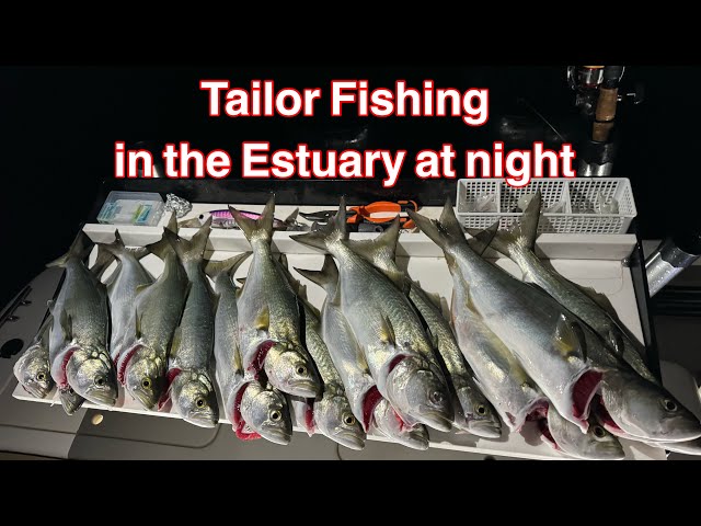 Câu Cá Cửa Sông